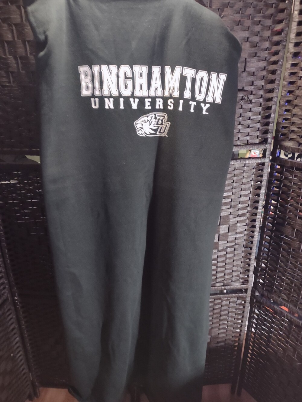 Binghamton University sweatshirt blanket,54x84 In Green